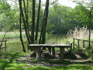 Heide- und Teichlandschaft